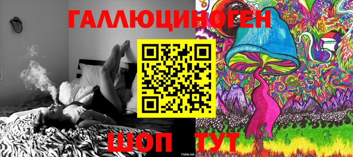 Галлюциногенные грибы Psilocybine cubensis Калуга